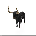 Black bull standing with long yellow horns and white spots on white background