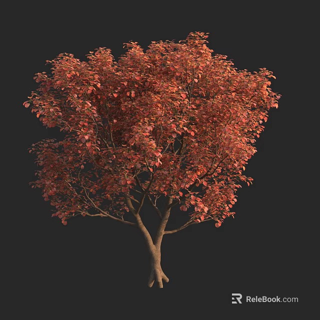 Tall Arbor with Vibrant Red Leaves and Dense Crown in Autumn Season 3d model 