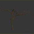 Leafless Tree With Trunk And Branches Featuring Green And Orange Texture Against Gray Gradient Background
