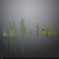 Different Types of Green Trees with Various Heights on Dark Reflective Surface Against Gray Background