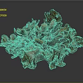 Textured Organic Organ Structure With Hair Like Fibers And Brown Gray Tones