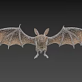 Flying Animal Bat With Large Ears And Spread Wings On Dark Background 3d model