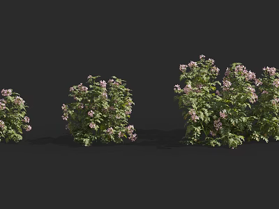 Modern Flowers 3d model