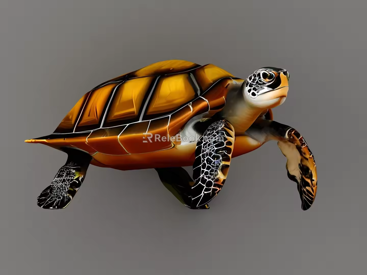 Turtle Turtle 3d model