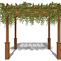 Outdoor Wooden Pergola With Lush Green Climbing Vines And Sunlight Shadow Patterns