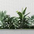 Lush Green Tropical Plants With Palm Leaves And Banana Foliage Against Textured Wall