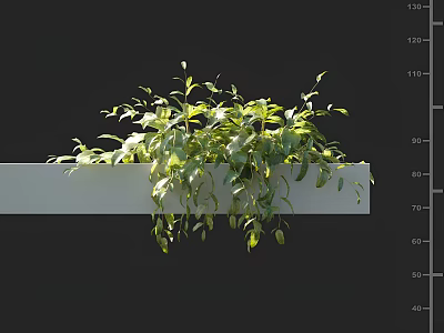 Lush Green Hanging Basket Plants With Trailing Foliage For Indoor Home Decor 3d model