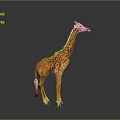 Spotted Giraffe With Long Neck Standing On Gradient Gray Black Background With Ground Reflection 3d model