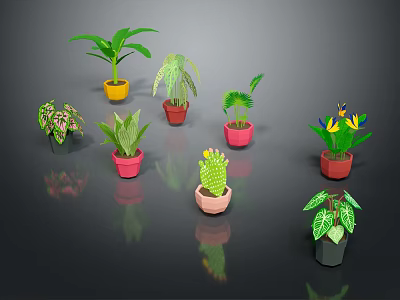 Assorted Potted Plants with Different Leaf Shapes Colors and Colorful Pots 3d model