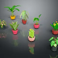 Assorted Potted Plants with Different Leaf Shapes Colors and Colorful Pots
