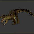 Realistic Crocodile Model With Open Mouth And Textured Skin And Reflection In Standing Pose