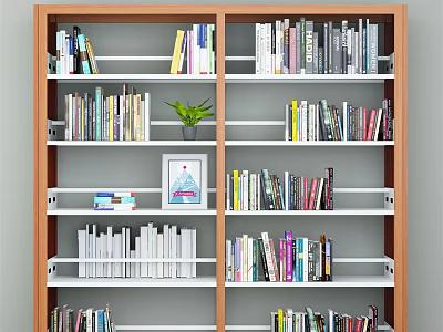 Wooden Bookcase With Brown Frame White Shelves Colorful Books Potted Plant And Photo Frame 3d model