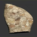 Stone Wood Decorative Object With Natural Fossil Texture And Multicolor Surface 3d model