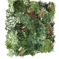 Diverse Bonsai Potted Plants Featuring Lush Greenery And Indoor Decorative Design