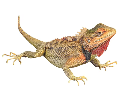 Vibrant Reptile Lizard Featuring Green Brown Scales Red Throat Sharp Claws And Long Tail 3d model