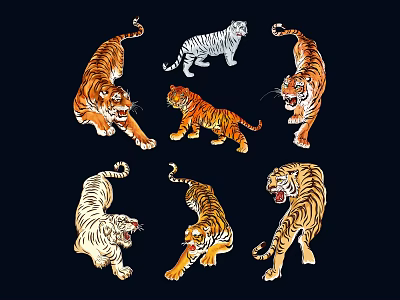 tigers white tigers fierce tigers northeast tigers south china tigers wild tigers 3d model