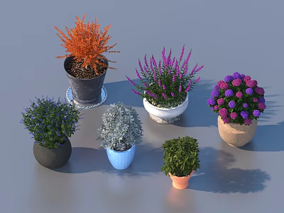 Various Bonsai Potted Plants With Colorful Foliage And Different Colored Pots 3d model