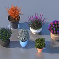 Various Bonsai Potted Plants With Colorful Foliage And Different Colored Pots