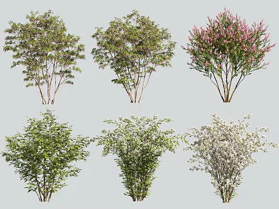 Diverse Garden Arbor Trees Featuring Lush Green Foliage Pink White Blooms 3d model