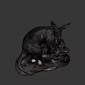 Dark Fur Anteater Taxidermy Specimen With Long Snout And Large Ears
