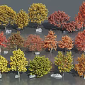Colorful Arbor Trees With Yellow Red Green Leaves And Decorative Stones