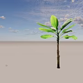 Tall Tree With Large Green Leaves And Brown Trunk Casting Shadow 3d model