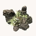 Natural Stone And Wood Decorative Arrangement With Green Grass And Small White Flowers