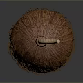 Brown Fibrous Round Food With Curved Stem And Natural Texture