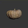 Fresh Ripe Orange Pumpkin With Smooth Ribbed Surface On Dark Reflective Background
