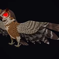 Owl With Spread Wings And Red Eyes Against Black Background