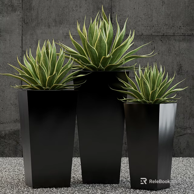 Green Potted Plants in Black Metal Planters Against Gray Wall with Pebble Ground 3d model 