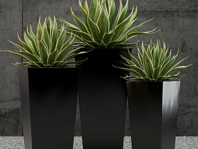 Green Potted Plants in Black Metal Planters Against Gray Wall with Pebble Ground 3d model