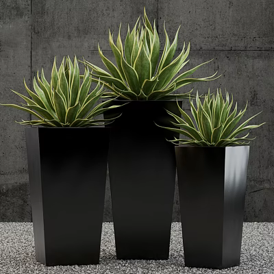 Green Potted Plants in Black Metal Planters Against Gray Wall with Pebble Ground 3d model
