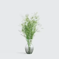 Elegant Transparent Glass Vase With Lush Green Plants For Modern Home Interior Decor