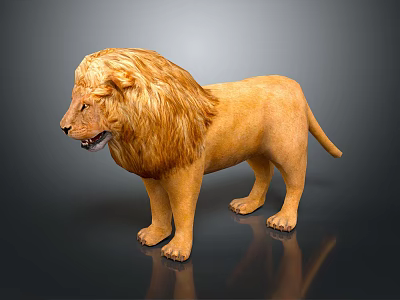 Realistic Majestic Male Lion With Golden Mane Standing On Reflective Surface 3d model