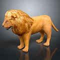 Realistic Majestic Male Lion With Golden Mane Standing On Reflective Surface