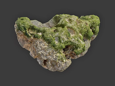 Natural Stone and Wood Decor Piece with Lush Green Mossy Surface 3d model