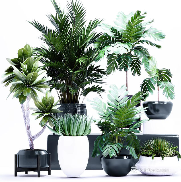 Assorted Green Potted Plants Featuring Different Leaf Shapes And Decorative Pots For Indoor Home Decoration 3d model 