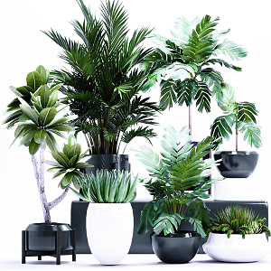 Modern potted green plant potted plant combination 3d model