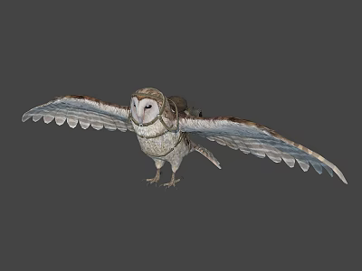Flying Owl With Spread Wings And Brown White Feathers Against Gray Background 3d model