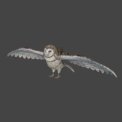Flying Owl With Spread Wings And Brown White Feathers Against Gray Background 3d model