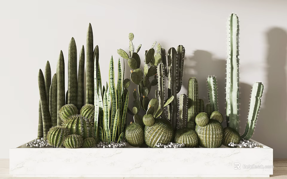 Various Types of Cactus Potted Plants with Small Stones on White Countertop 3d model 