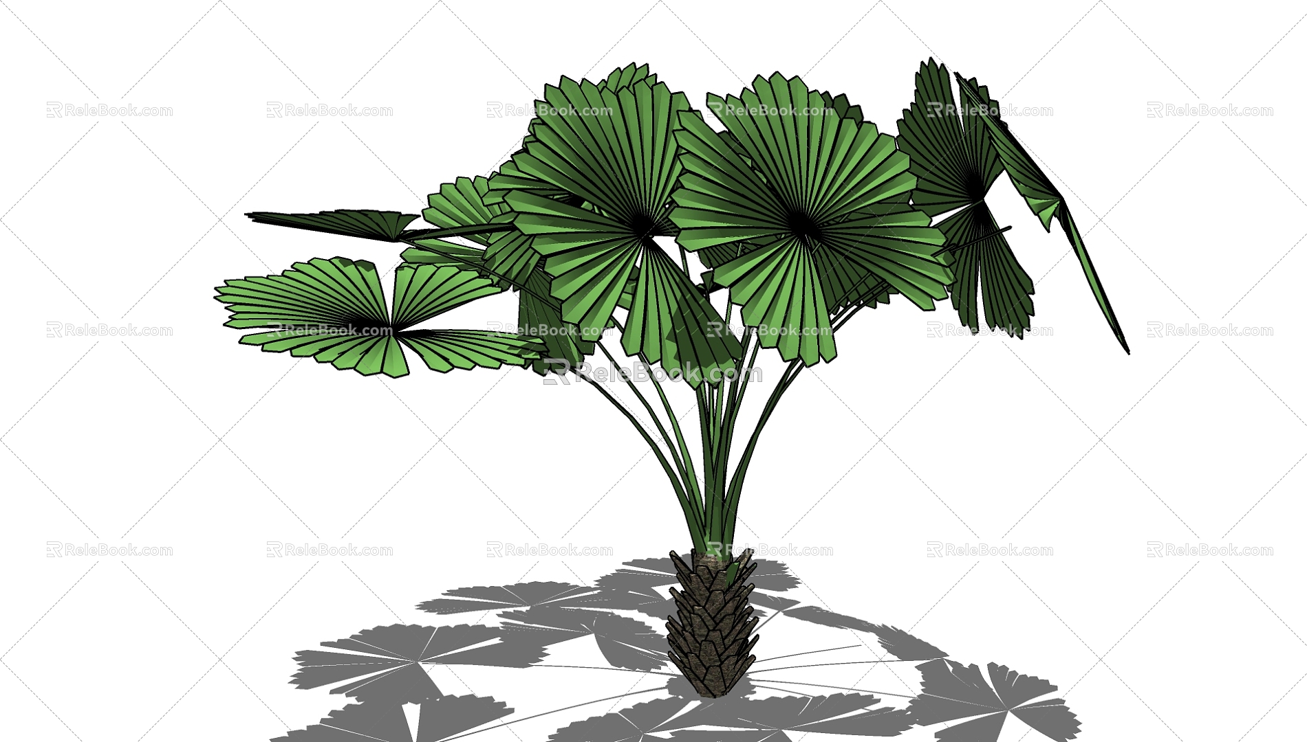 Palm Tree 3d model