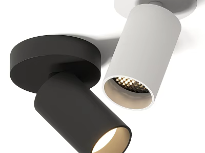 Modern Minimalist Black and White Downlights and Spotlights with Adjustable LED Design 3d model