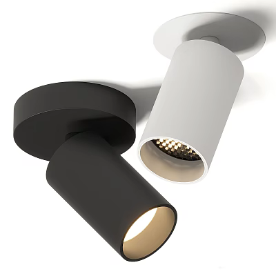 Modern Minimalist Black and White Downlights and Spotlights with Adjustable LED Design 3d model