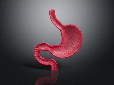3D Rendered Red Stomach Model With Detailed Textured Surface And Anatomical Structure 3d model