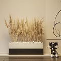 Golden Wheat Ears Bonsai Plant in Rectangular Pot with White Pebbles and Black Sculpture