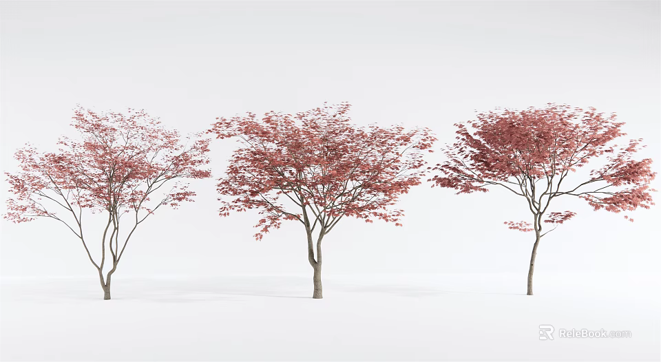 Three Arbor Trees With Red Leaves And Trunks On White Background 3d model 