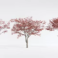 Three Arbor Trees With Red Leaves And Trunks On White Background 3d model