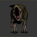 Realistic T-Rex Dinosaur With Open Mouth And Brown Black Striped Body Standing On Gray Background